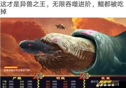 开局一只鲲，解锁快速养鲲秘籍，终极鲲养成全攻略
