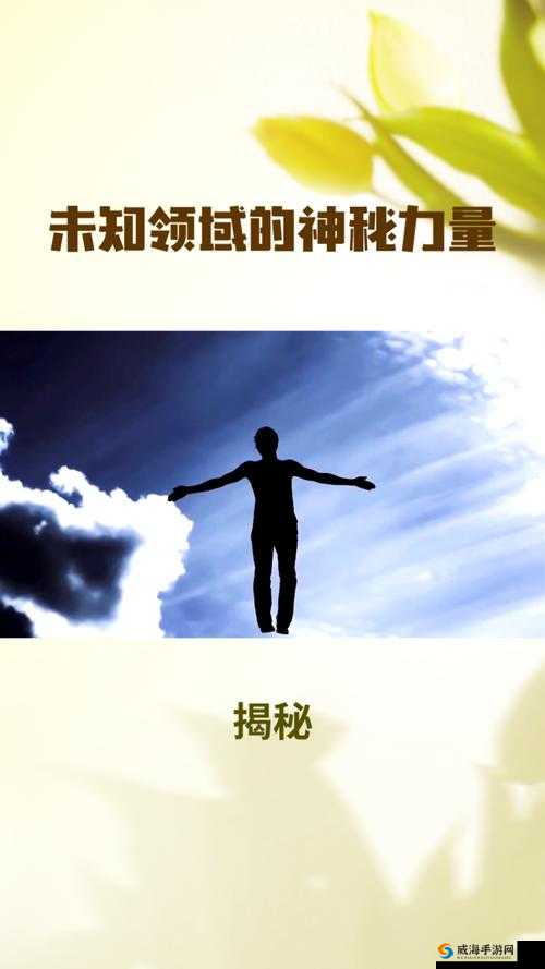 三级 XX：探索未知领域的神秘力量与无限可能