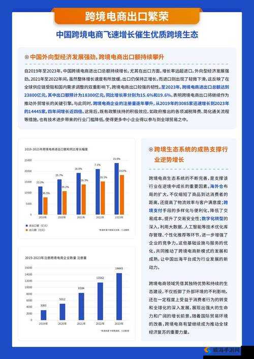 2024amazon 欧洲站电商巨头如何迎接挑战:探寻未来发展新路径