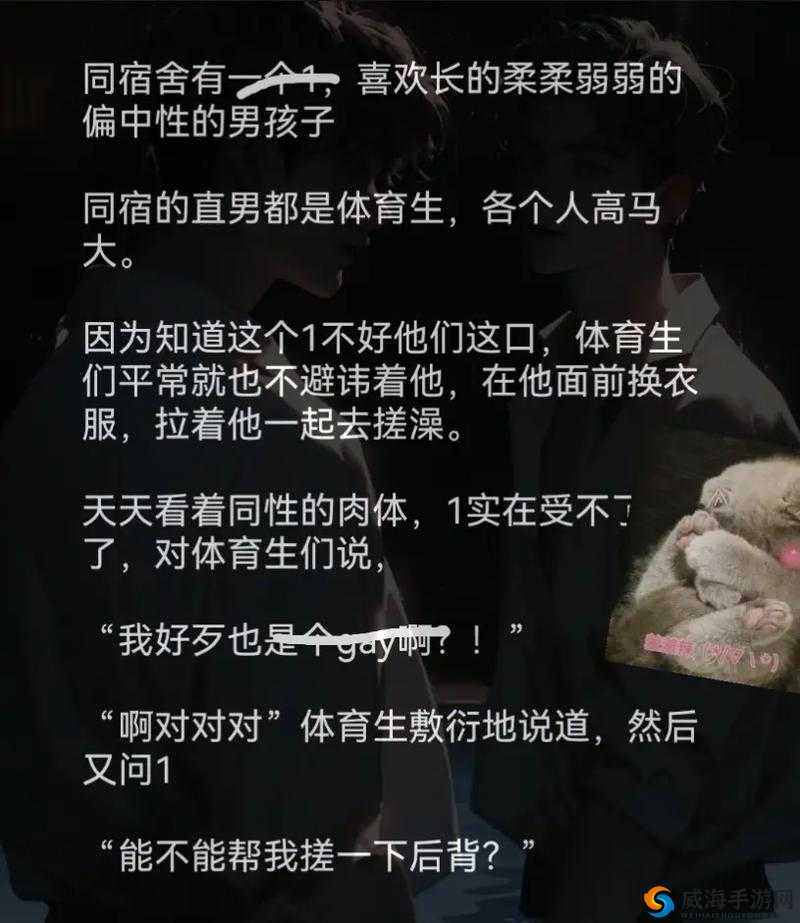 双男主的奇妙通感：双胞胎的甜蜜夹心故事