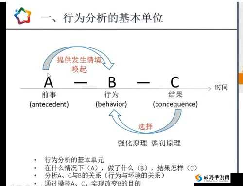 20分钟一次的完整行为分析及影响探讨