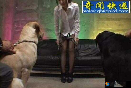 女人兽皇与狗交的奇特奇幻之旅