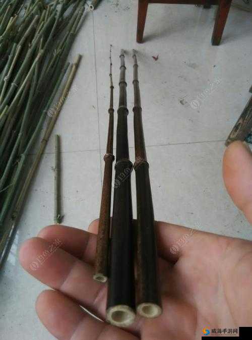 神都夜行录钓鱼攻略，紫竹与绿竹鱼竿的区别