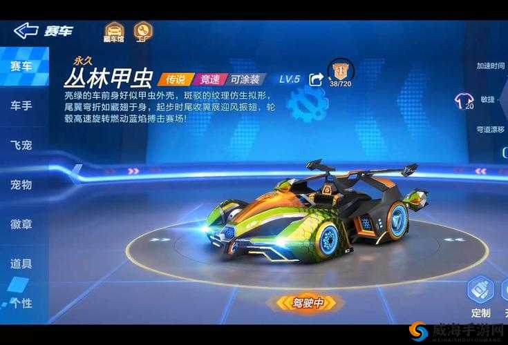 跑跑卡丁车手游海盗龟龟车图鉴介绍大全,资源管理、高效利用与价值最大化