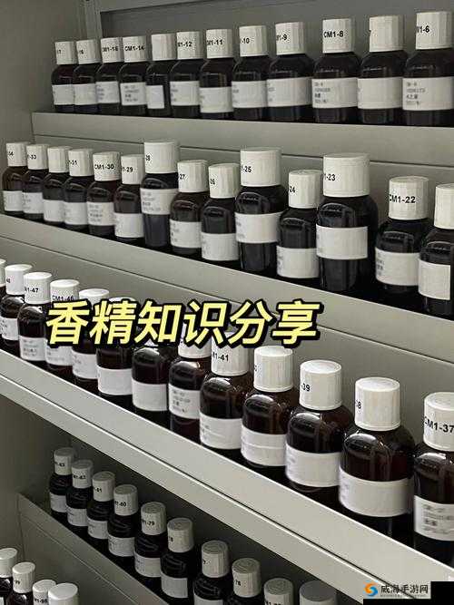 大香煮成品 75：关于其特点优势以及应用场景的详细介绍