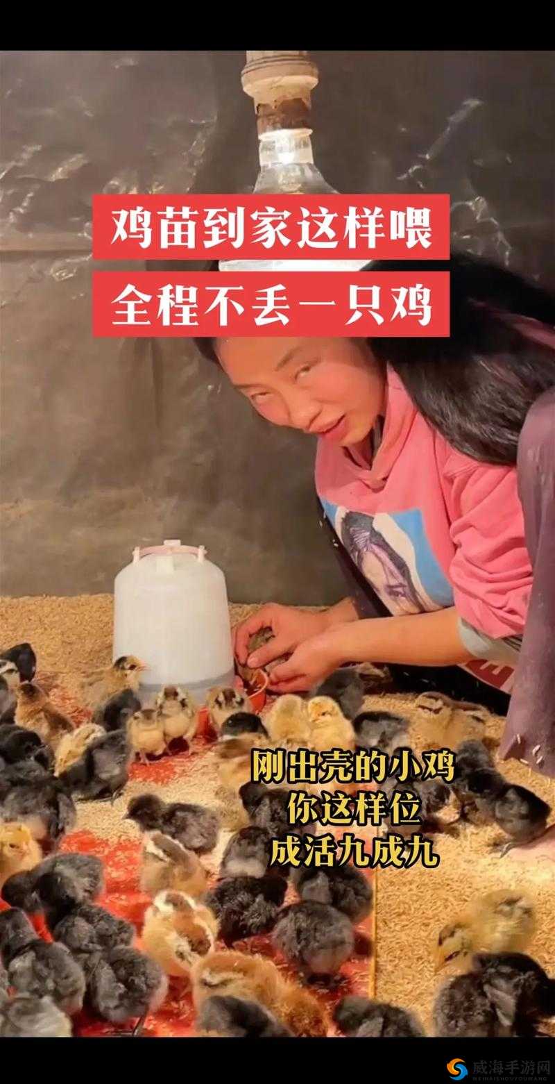 ：小姐姐好奇小弟小鸡，引发的一系列故事