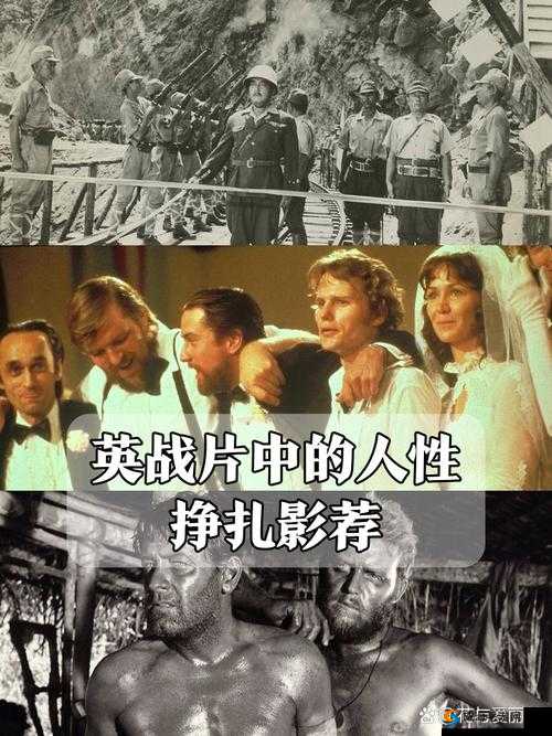 璜铯一级帝囯军妓：被遗忘的历史与人性的挣扎
