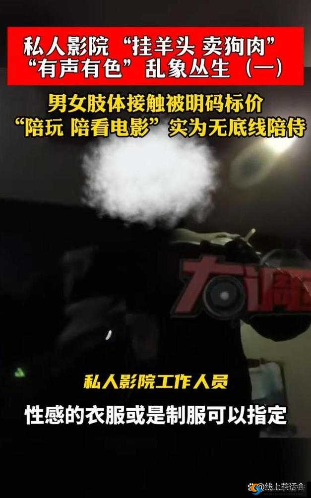 亚洲成年人铯片：挑战道德与法律的灰色地带