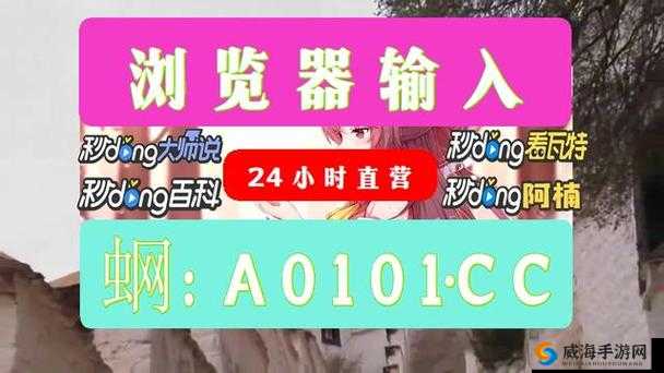 看 b 站 24 小时直播间用什么浏览器好呢以及相关浏览器推荐