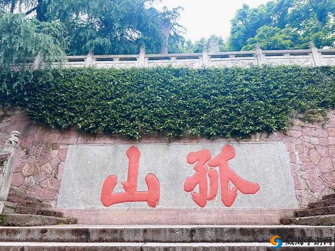 神都夜行录孤山寺北贾亭西挑战副本打法攻略