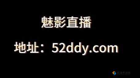 魅影直播：精彩不断，带你领略别样直播世界
