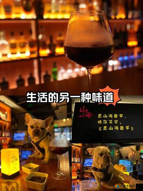 91 酒色的魅力：一场独特的味觉与视觉盛宴