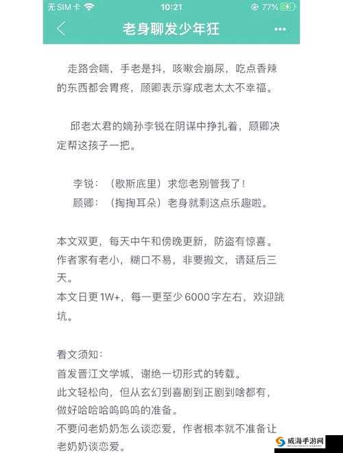 中国老太婆 xx：一段跨越时空的传奇故事