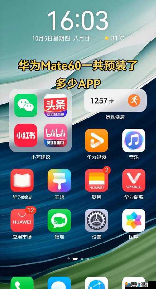 免费 b 站大全永不收费 2024 年更新：b 站视频资源神器