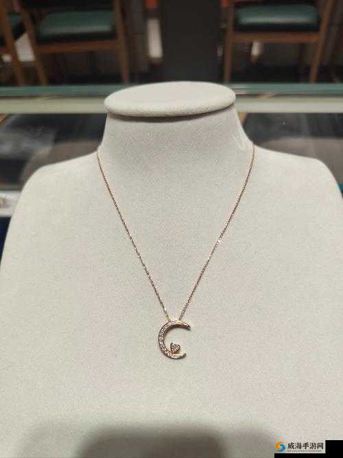 璀璨永恒：18k 金钻石项链，见证爱情的华丽与坚韧