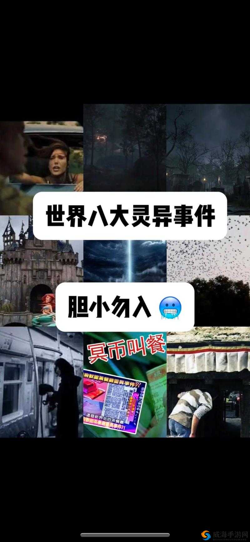 4438xxx 背后隐藏的神秘故事与未知探索之旅