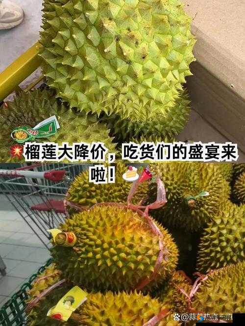 水果盛宴：榴莲、草莓、西瓜、茄子、黄瓜的奇妙组合