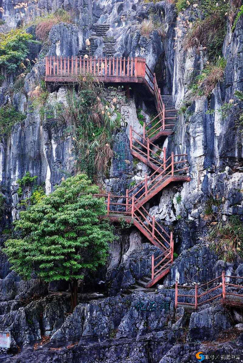 JJZZ JJZZ 仙林密踪：探寻神秘踪迹的冒险之旅
