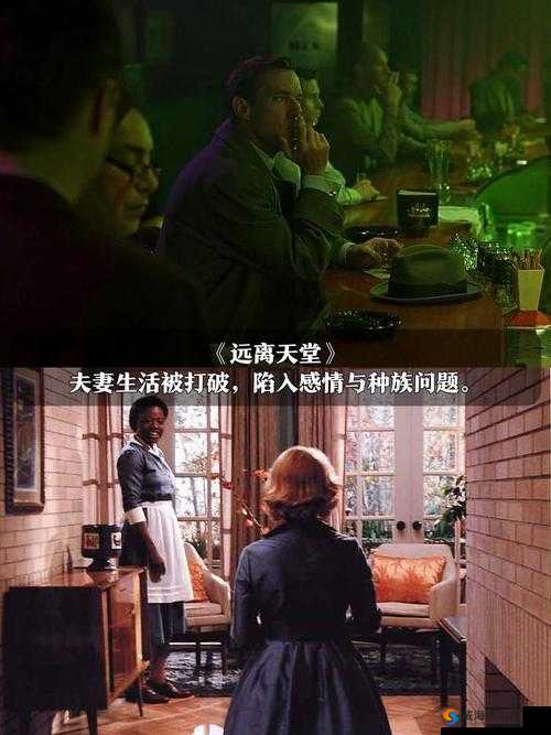 草榴梅之成年人世界的情感纠葛:探索与抉择