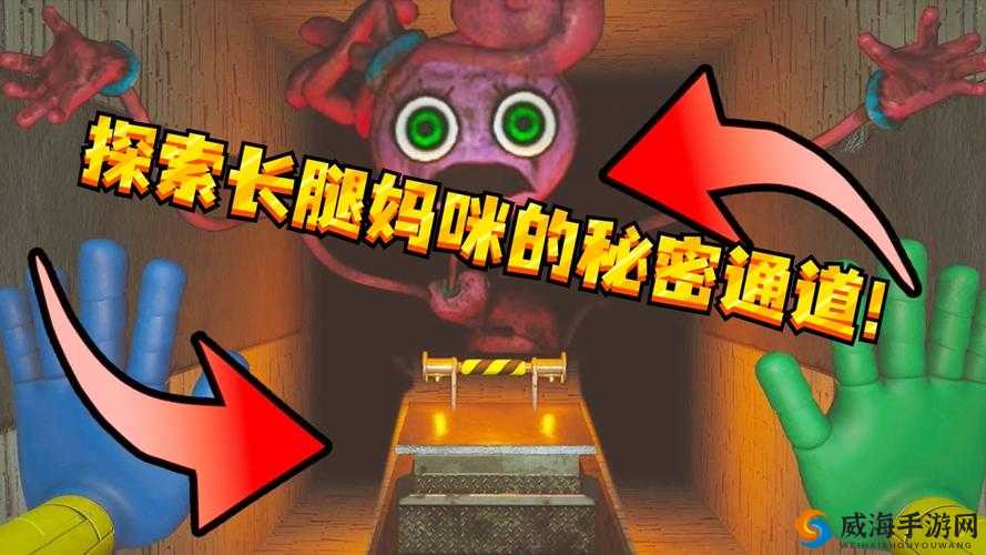 78m-78 隐藏通道 2：关于其神秘面纱与独特之处的深入探究