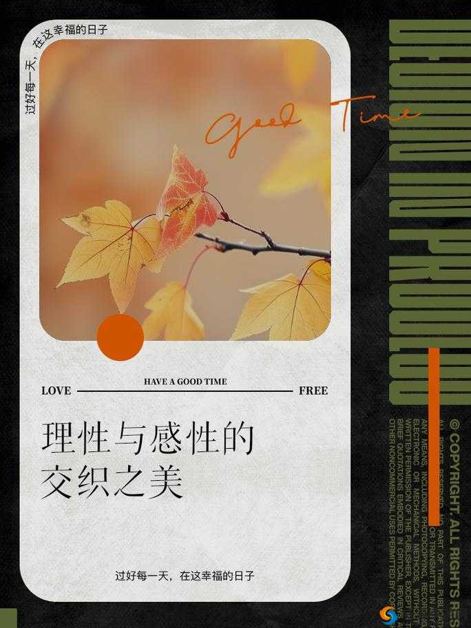 夫妻感性与理性的奇妙交织与平衡