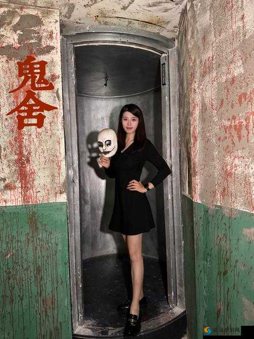 校花门事件:校园青春背后的隐秘风波与真相探寻