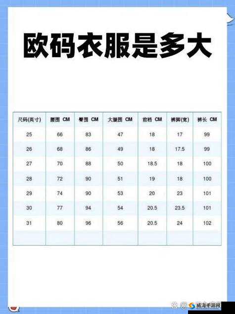 欧洲码欧洲尺码 M 高清：关于其详细介绍及相关信息探讨