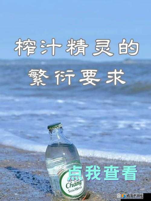 榨汁精灵的繁衍要求是什么：适应环境、保持清洁、合理饮食、避免过度繁殖