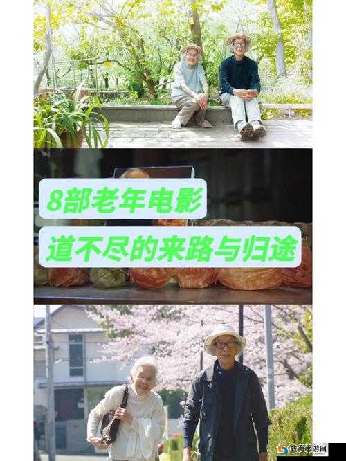 电影夜深了，请准备好纸巾：一部感人至深的情感力作