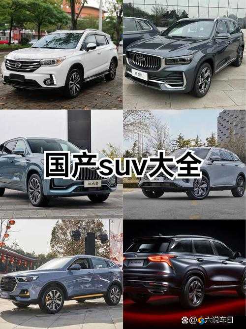 国产 SUV 大全：车型丰富，总有一款适合你