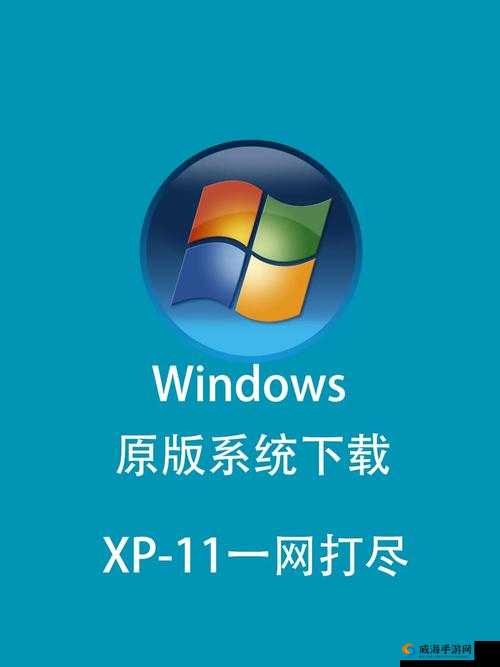 中国高清 WINDOWS 视频亮点：独特魅力呈现