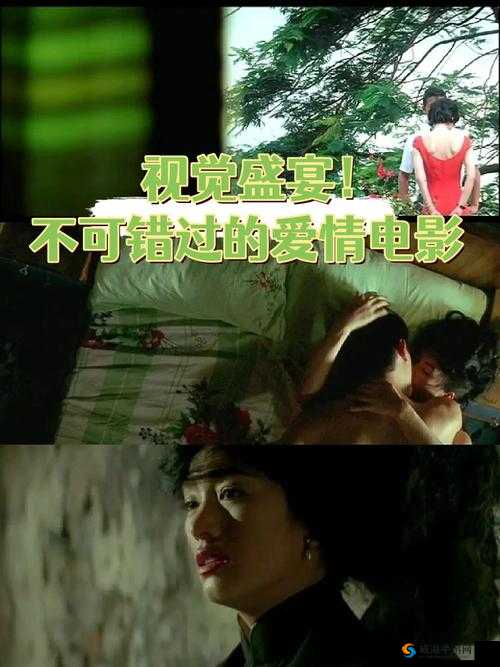无人区电影高清免费：一场震撼心灵的视觉盛宴之旅