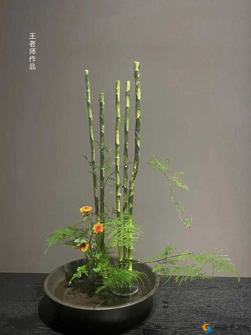 插花弄玉曲径通幽：探寻其背后的艺术魅力与文化内涵