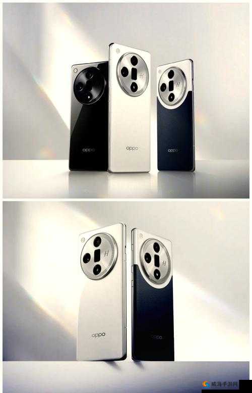 X7X7 任意噪入口：探索其背后的神秘机制与应用前景