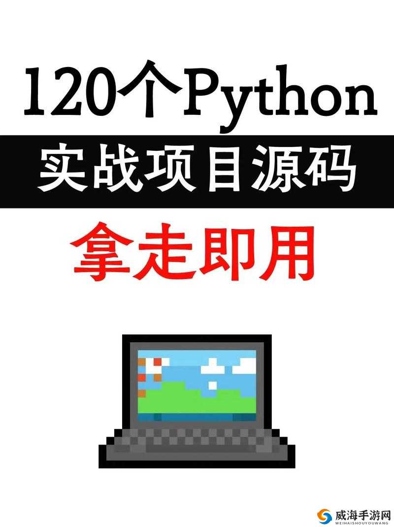 免费 Python 在线观看源码：开启编程学习之旅