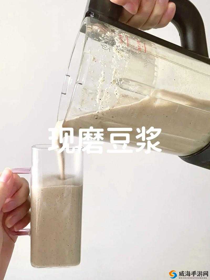 做运动磨豆浆视频：带你感受健康生活的魅力与乐趣