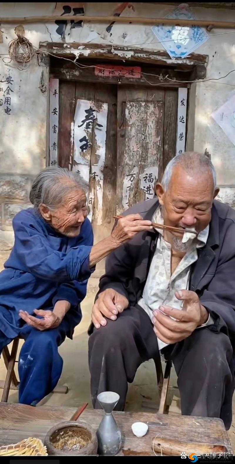 全部老头老太们的别样生活点滴与趣事