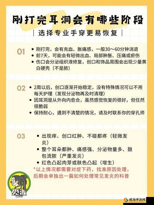 新手怎么自己扣:详细步骤与注意事项解析