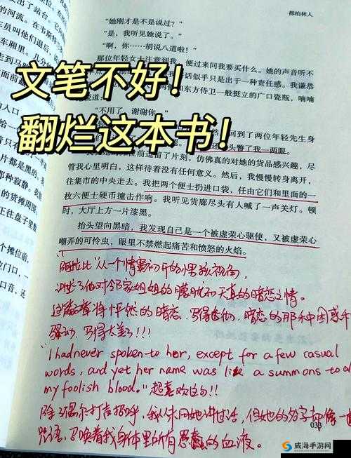 她开始慢迎迎合徐平雪小说:一场别样的情感纠葛故事