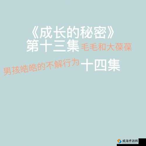 成长的秘密毛毛葆葆观察记录：探索孩子成长中的点滴细节