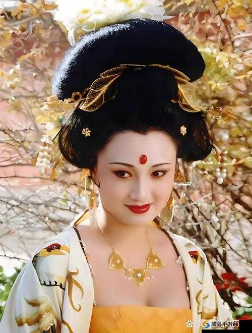 丰裕纵满杨玉环：揭秘她的奢华生活与传奇人生