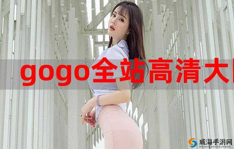 GOGOGO高清视频大全：涵盖丰富多样的精彩内容