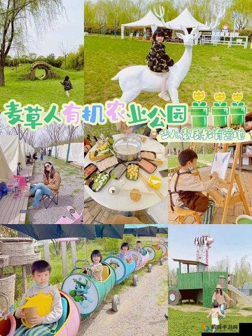 人曾交互 mouse 农场：探索奇幻的互动农场之旅