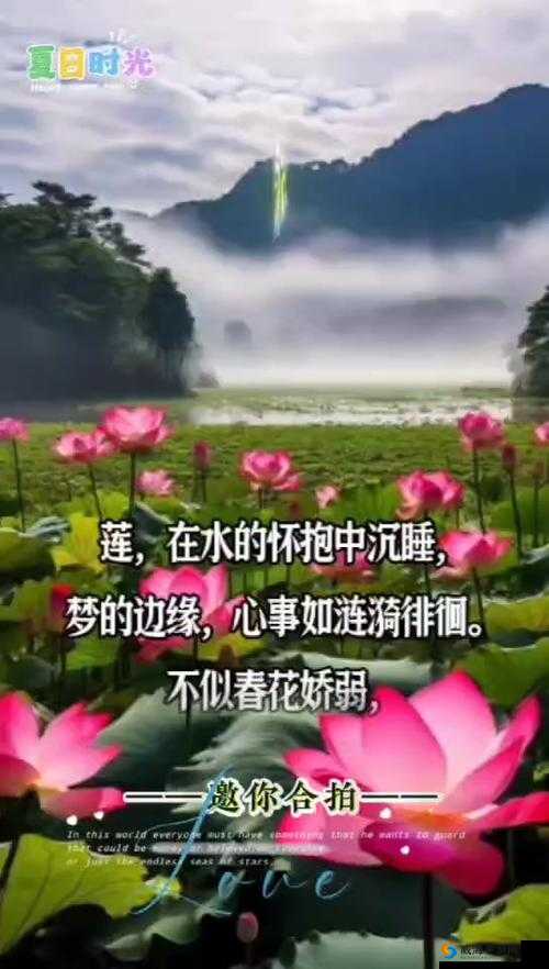 女人半夜莲花开，探秘这一神秘现象的背后