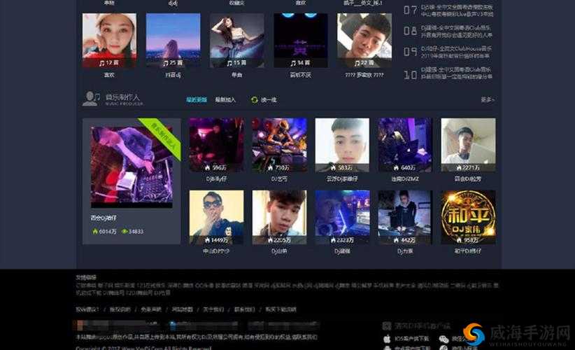 国产 Chinese 男男 DJ 网站：引领独特音乐潮流