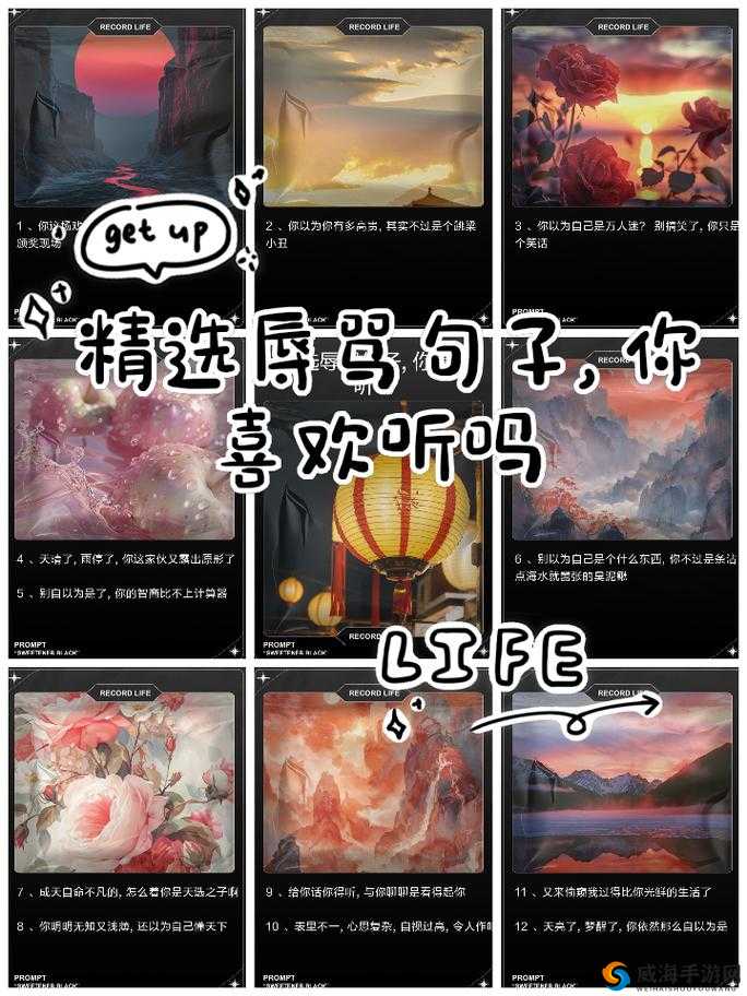 M 喜欢听的辱骂句子精选有哪些：那些令人咋舌的辱骂话语