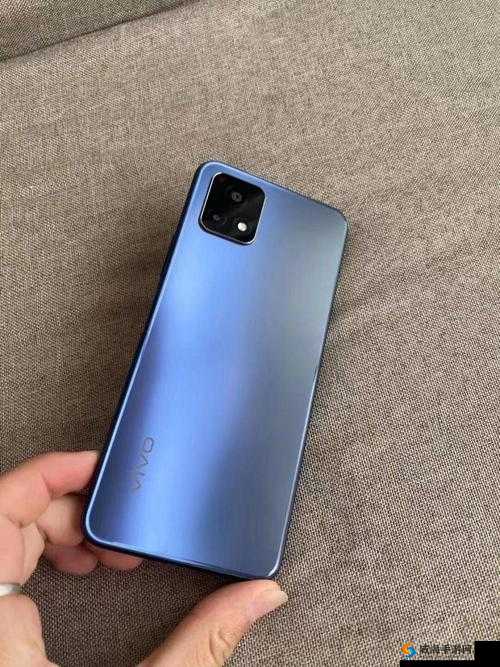 成色好的 Y31 与普通 Y31 区别在哪：是品质之选还是价格之选