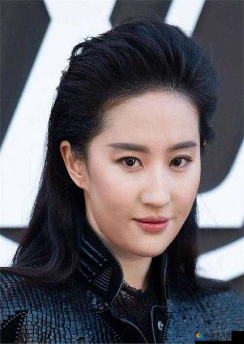刘亦菲大战巨茎黑人在线观看：一场震撼视觉的奇妙演绎