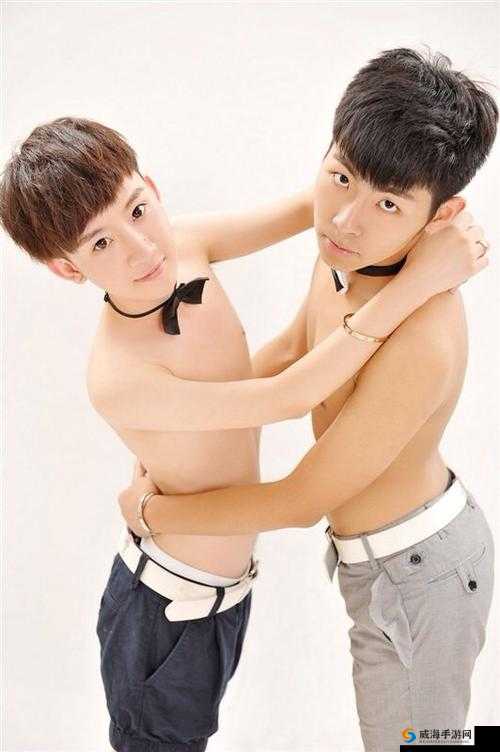 男男GaYGAYSgame：一场关于特殊情感的奇妙探索之旅