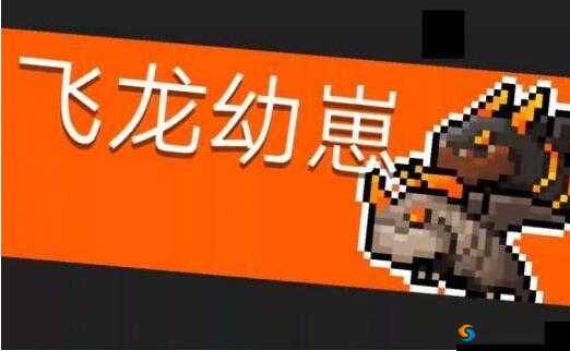 元气骑士飞龙幼崽打法教学，一定要先杀白龙
